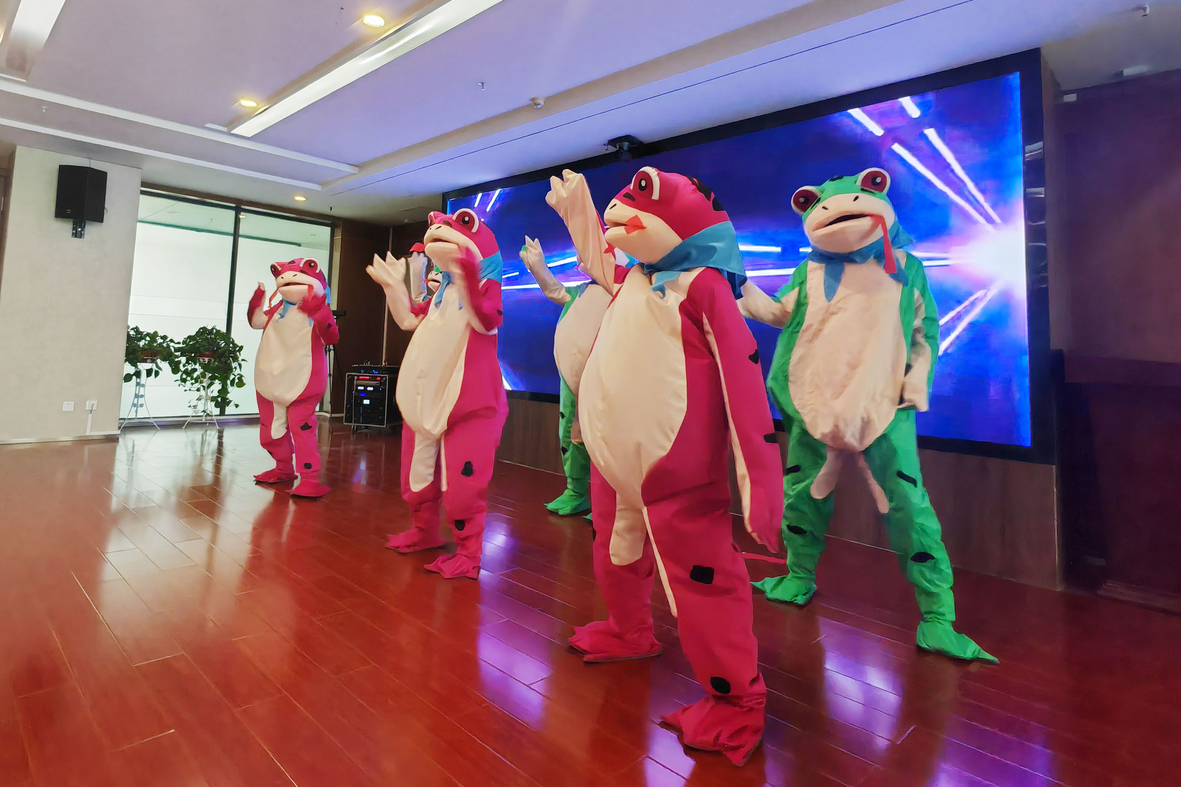 1767770701368221.jpg 芮康.jpg